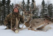 Photo of В яблочко! Развитие охоты с луком в Северной Америке